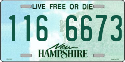 NH license plate 1166673