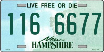 NH license plate 1166677