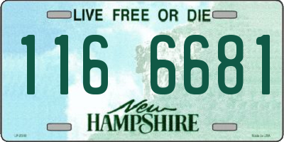 NH license plate 1166681