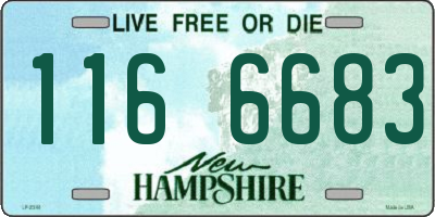 NH license plate 1166683