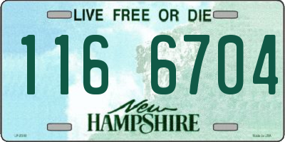 NH license plate 1166704