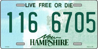 NH license plate 1166705