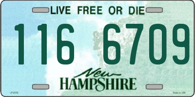 NH license plate 1166709