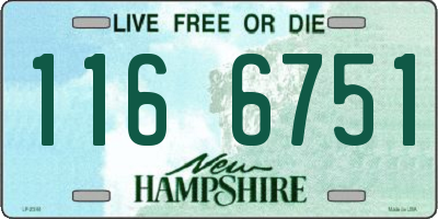 NH license plate 1166751