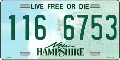 NH license plate 1166753