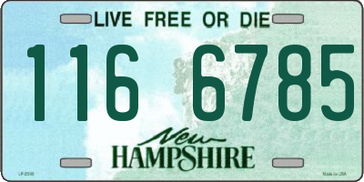 NH license plate 1166785