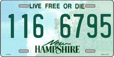 NH license plate 1166795