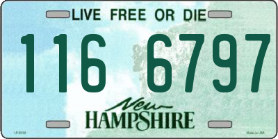 NH license plate 1166797