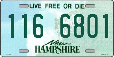 NH license plate 1166801
