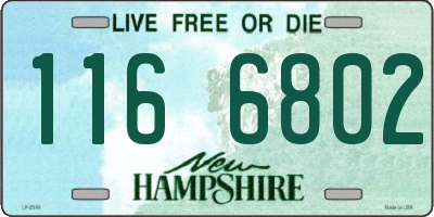 NH license plate 1166802