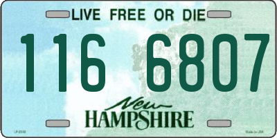 NH license plate 1166807