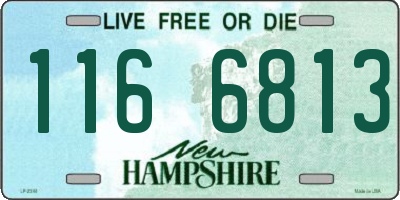 NH license plate 1166813