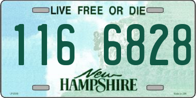 NH license plate 1166828
