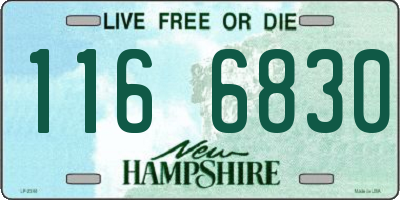 NH license plate 1166830