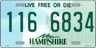 NH license plate 1166834