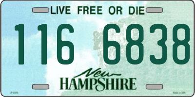 NH license plate 1166838