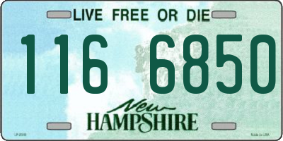 NH license plate 1166850