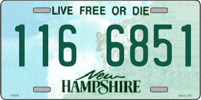 NH license plate 1166851