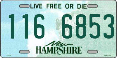NH license plate 1166853