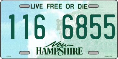 NH license plate 1166855