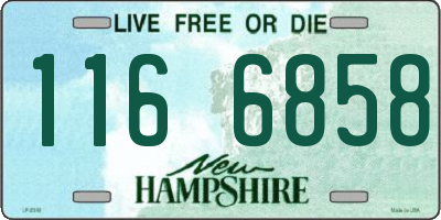 NH license plate 1166858