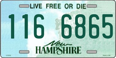 NH license plate 1166865