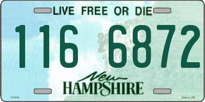 NH license plate 1166872
