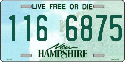 NH license plate 1166875