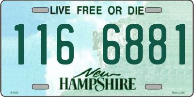 NH license plate 1166881