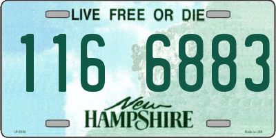 NH license plate 1166883