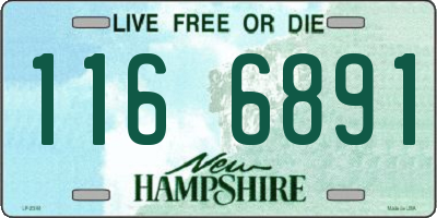NH license plate 1166891