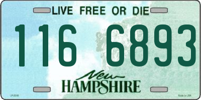NH license plate 1166893