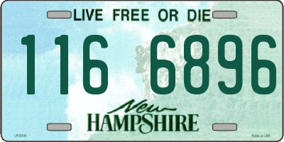 NH license plate 1166896