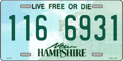 NH license plate 1166931