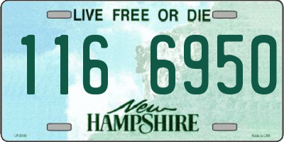NH license plate 1166950