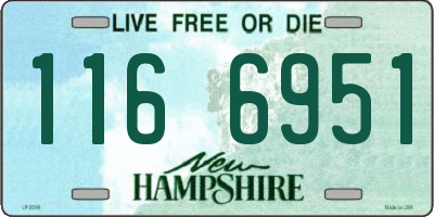 NH license plate 1166951