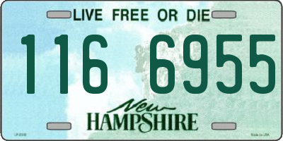 NH license plate 1166955
