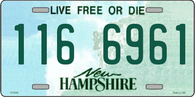 NH license plate 1166961