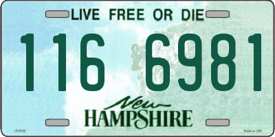 NH license plate 1166981