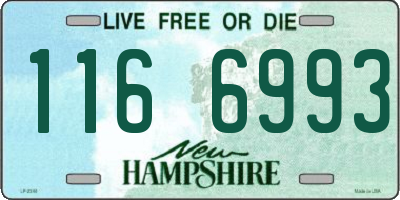NH license plate 1166993
