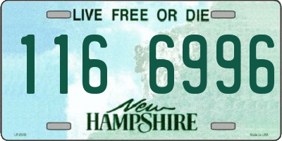 NH license plate 1166996