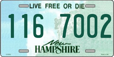 NH license plate 1167002