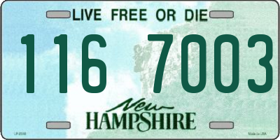 NH license plate 1167003