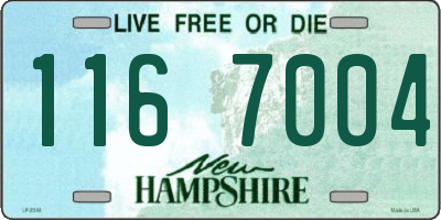NH license plate 1167004