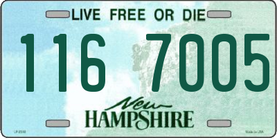 NH license plate 1167005