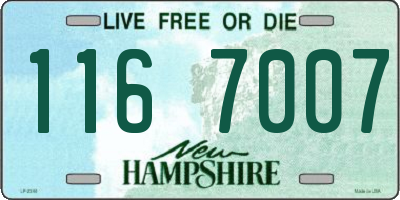 NH license plate 1167007