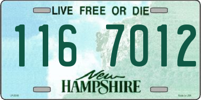NH license plate 1167012
