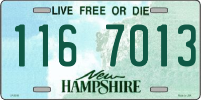 NH license plate 1167013