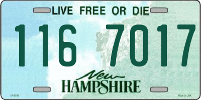 NH license plate 1167017