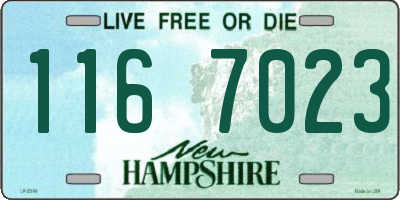 NH license plate 1167023